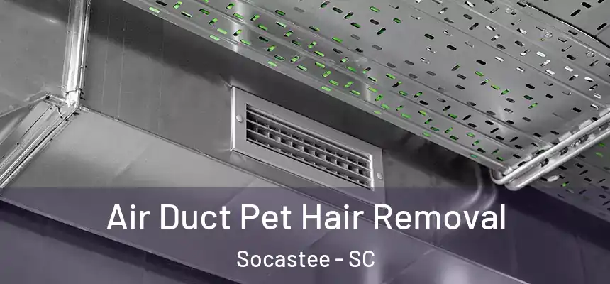  Air Duct Pet Hair Removal Socastee - SC