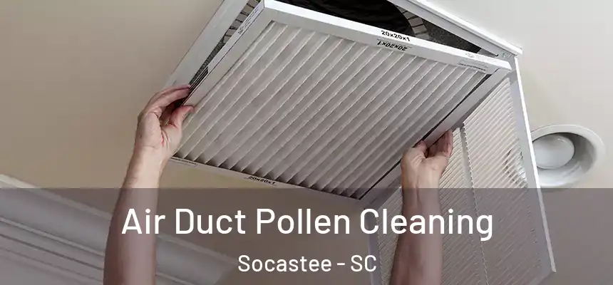  Air Duct Pollen Cleaning Socastee - SC