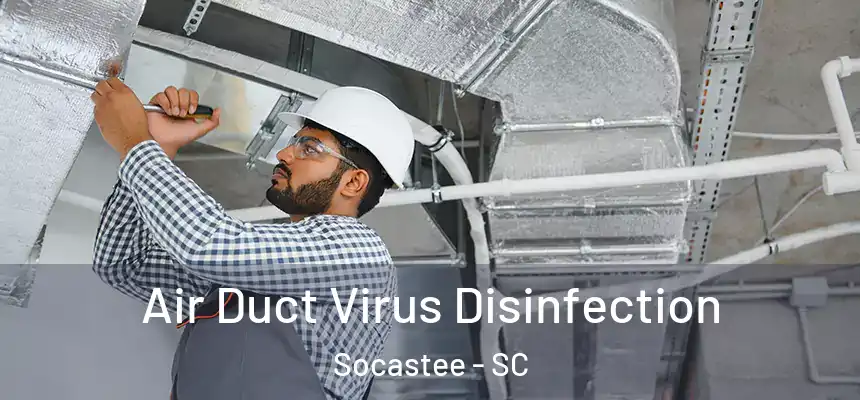  Air Duct Virus Disinfection Socastee - SC