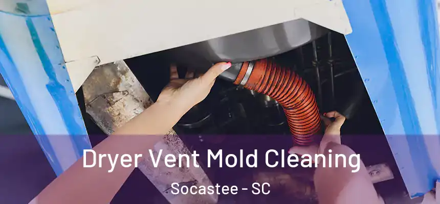  Dryer Vent Mold Cleaning Socastee - SC