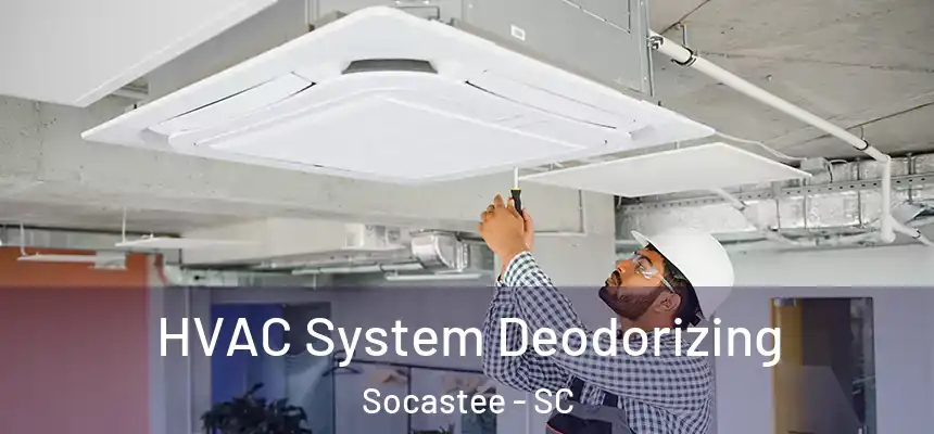  HVAC System Deodorizing Socastee - SC