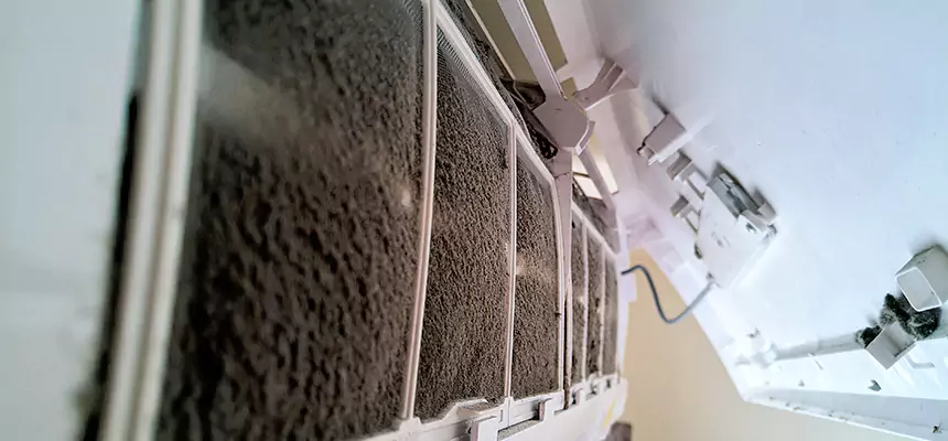 Preventive Air Duct Bacteria Removal in Socastee