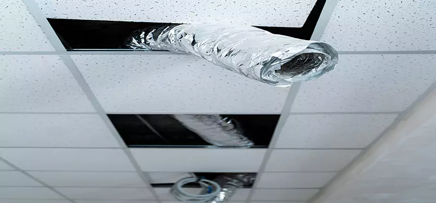 Affordable HVAC Sanitizing After Pest Removal in Socastee