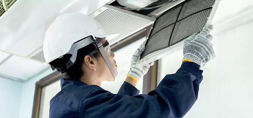 Our Mold & Mildew Removal from Air Ducts Services in Socastee, SC