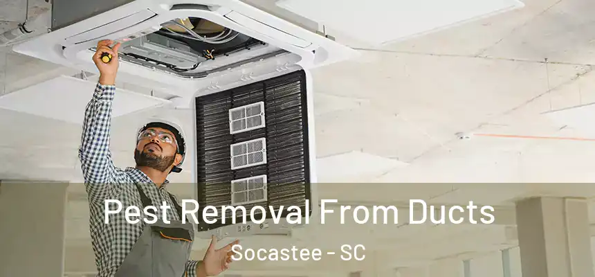  Pest Removal From Ducts Socastee - SC