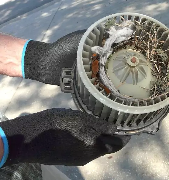 About Air Duct Rat Removal in Socastee, SC