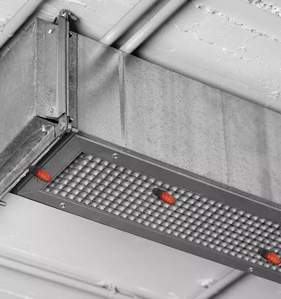 Affordable Insect Removal from Air Ducts in Socastee, SC