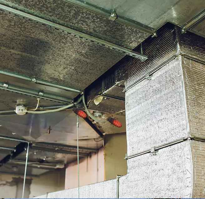 Why Homeowners & Businesses Trust Us in Socastee, SC?