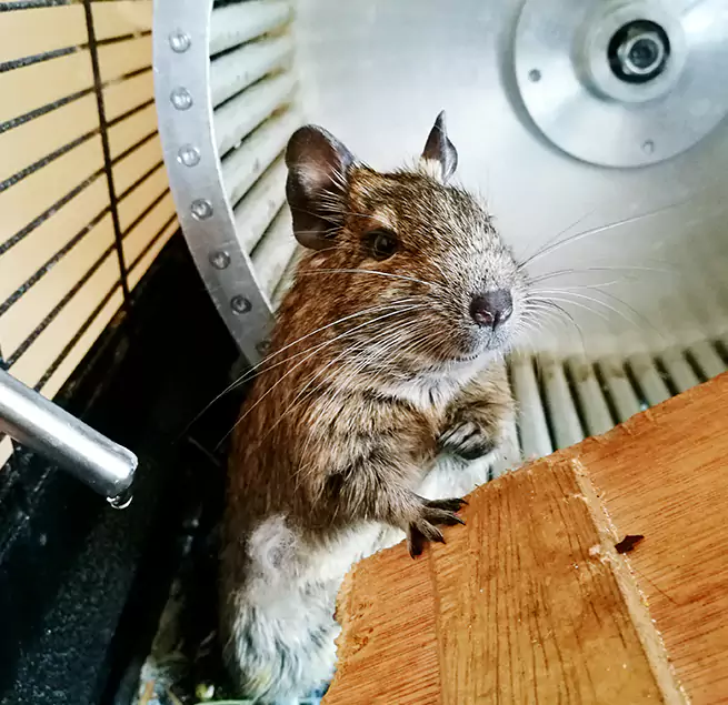 Why Homeowners & Businesses Trust Us Socastee, SC?