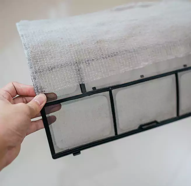 Why Homeowners & Businesses Trust Us in Socastee, SC?