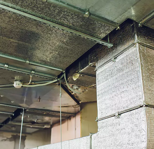 Why Homeowners & Businesses Trust Us in Socastee, SC?